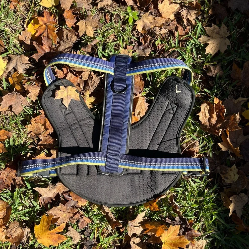 Head brand Blue Dog harness